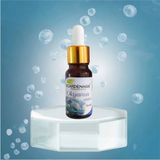 Okyanus Esansı 10 ml