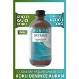 Okyanus Esansiyel Uçucu Koku Yağı Buhurdanlık Yağı Difüzör Esansı Hobi Esans Ortam Oda Kokusu 100ml