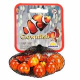 Okyanus Renkli Misket - Clownfish