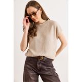 Olalook Kadın Taş Geniş Yaka Yarasa Mevsimlik Triko Bluz BLZ-19003248