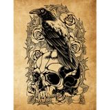 Old Style Raven on Skull with Roses Sketchbook - White Color Interior Sketch Pages for Art - Sketch Pages Numbered: This Sketch Book (Sketchbook) is a ... doodling, writing, and brainstorming.