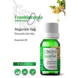 Oleora Akgünlük Yağı, Saf Seyreltilmemiş, Uçucu Yağ. (FRANKİNCENSE SERRATA OİL)undiluted, Pure 10 ml