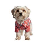 Oli and Lui KIRMIZI ÇİÇEK DESENLİ Köpek Gömleği ÇİÇEKLİ KIRMIZI XS