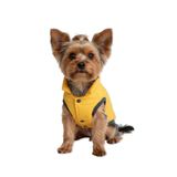 Oli and Lui SARI Su Geçirmez Kapitone Köpek Montu – Gezdirme Halkalı (Sarı, Small)