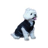 Oli and Lui SİYAH Su Geçirmez Kapitone Köpek Montu – Gezdirme Halkalı (Siyah, X-Small)