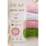 OLİ Art Şönil Seti – 4 Renk 100 Adet (Açık Pembe, Beyaz, Pudra Pembe, Yaprak Yeşili) Şönil Tel