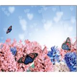 Olinpa Cam Ocak Arkası Koruyucu | Kelebek - 76 x 50 cm