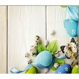 Olinpa Cam Ocak Arkası Koruyucu | Kelebek Desenli 2 - 50 x 50 cm