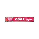 Olips 47 gr Çiğne Karpuz Aromalı Ferahlatıcı Çiğnenebilir Şeker