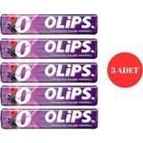 Olips Orman Meyveleri Aromalı Bonbon Şekerleme 28 G (5 Adet) - 175 gr