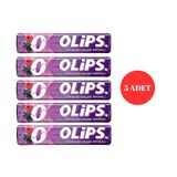 Olips Orman Meyveleri Aromalı Bonbon Şekerleme 28 g (5 ADET)