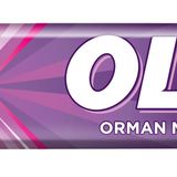 Olips Orman Meyveli Stick Şeker 28 Gr 24 Adet