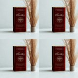 Olivalley Yeni Sezon Ekonomik Seri Ayvalık Edremit Naturel Sızma Zeytinyağı 4 x 5 lt Filtresiz - 20 lt