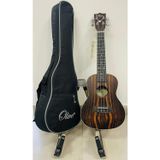 Olive Venge Ağacı Concert Boy Ukulele Ve Soft Case Klılıflı