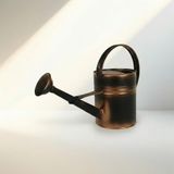 Olivia 3,5 Litre Metal Çiçek Bahçe Sulama Kabı – Modern Dekoratif Çok Amaçlı Sulak (Bakır Eskitme)