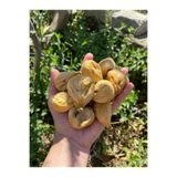 olivish Organik Kuru İncir Orta-Küçük Boy 500gr