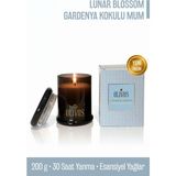 Olivos Lunar Blossom Gardenya Kokulu Mum 200 G - Mavi - 1 Adet