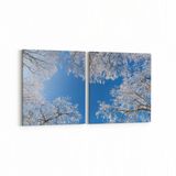Olla 10473K2Y Ağaç Görseli Kare 2 Parça Yatay 65x30 cm Kanvas Tablo