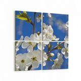 Olla 10477K4 Ağaç Görseli Kare 4 Parça 65x65 cm Kanvas Tablo