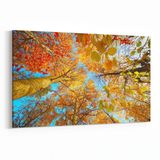 Olla 10489Y Ağaç Görseli Yatay 30x20 cm Kanvas Tablo