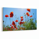 Olla 10495Y Ağaç Görseli Yatay 30x20 cm Kanvas Tablo