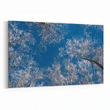 Olla 10499Y Ağaç Görseli Yatay 30x20 cm Kanvas Tablo