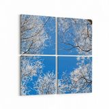 Olla 10503K4 Ağaç Görseli Kare 4 Parça 65x65 cm Kanvas Tablo