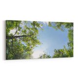 Olla 10504YD Ağaç Görseli Yatay Dar 60x30 cm Kanvas Tablo