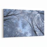 Olla 10505Y Ağaç Görseli Yatay 30x20 cm Kanvas Tablo