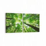 Olla 10506K2Y Ağaç Görseli Kare 2 Parça Yatay 65x30 cm Kanvas Tablo