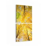 Olla 10515K2D Ağaç Görseli Kare 2 Parça Dikey 30x65 cm Kanvas Tablo