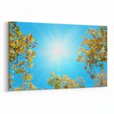 Olla 10520Y Ağaç Görseli Yatay 30x20 cm Kanvas Tablo