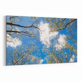 Olla 10526Y Ağaç Görseli Yatay 30x20 cm Kanvas Tablo
