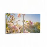Olla 10537K2Y Ağaç Görseli Kare 2 Parça Yatay 65x30 cm Kanvas Tablo