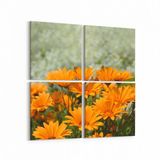 Olla 10549K4 Ağaç Görseli Kare 4 Parça 65x65 cm Kanvas Tablo