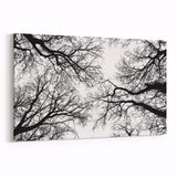 Olla 10555Y Ağaç Görseli Yatay 30x20 cm Kanvas Tablo