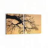 Olla 10560K2Y Ağaç Görseli Kare 2 Parça Yatay 65x30 cm Kanvas Tablo