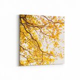Olla 10565K Ağaç Görseli Kare 25x25 cm Kanvas Tablo