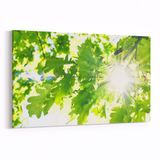 Olla 10568Y Ağaç Görseli Yatay 30x20 cm Kanvas Tablo