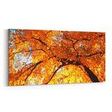 Olla 10610YD Ağaç Görseli Yatay Dar 60x30 cm Kanvas Tablo