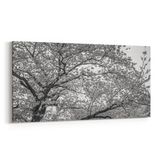 Olla 10620YD Ağaç Görseli Yatay Dar 60x30 cm Kanvas Tablo