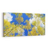 Olla 10626YD Ağaç Görseli Yatay Dar 60x30 cm Kanvas Tablo