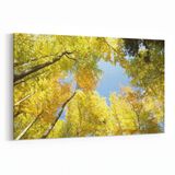 Olla 10629Y Ağaç Görseli Yatay 30x20 cm Kanvas Tablo