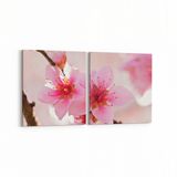 Olla 10649K2Y Ağaç Görseli Kare 2 Parça Yatay 65x30 cm Kanvas Tablo