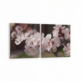 Olla 10665K2Y Ağaç Görseli Kare 2 Parça Yatay 65x30 cm Kanvas Tablo