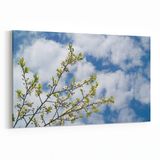 Olla 10669Y Ağaç Görseli Yatay 30x20 cm Kanvas Tablo