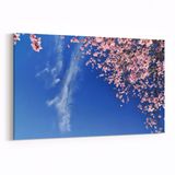 Olla 10674Y Ağaç Görseli Yatay 30x20 cm Kanvas Tablo