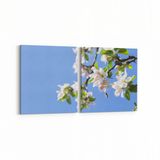Olla 10676K2Y Ağaç Görseli Kare 2 Parça Yatay 65x30 cm Kanvas Tablo