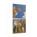 Olla 10677K2D Ağaç Görseli Kare 2 Parça Dikey 30x65 cm Kanvas Tablo
