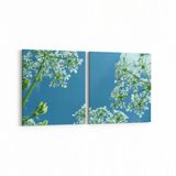 Olla 10696K2Y Ağaç Görseli Kare 2 Parça Yatay 65x30 cm Kanvas Tablo